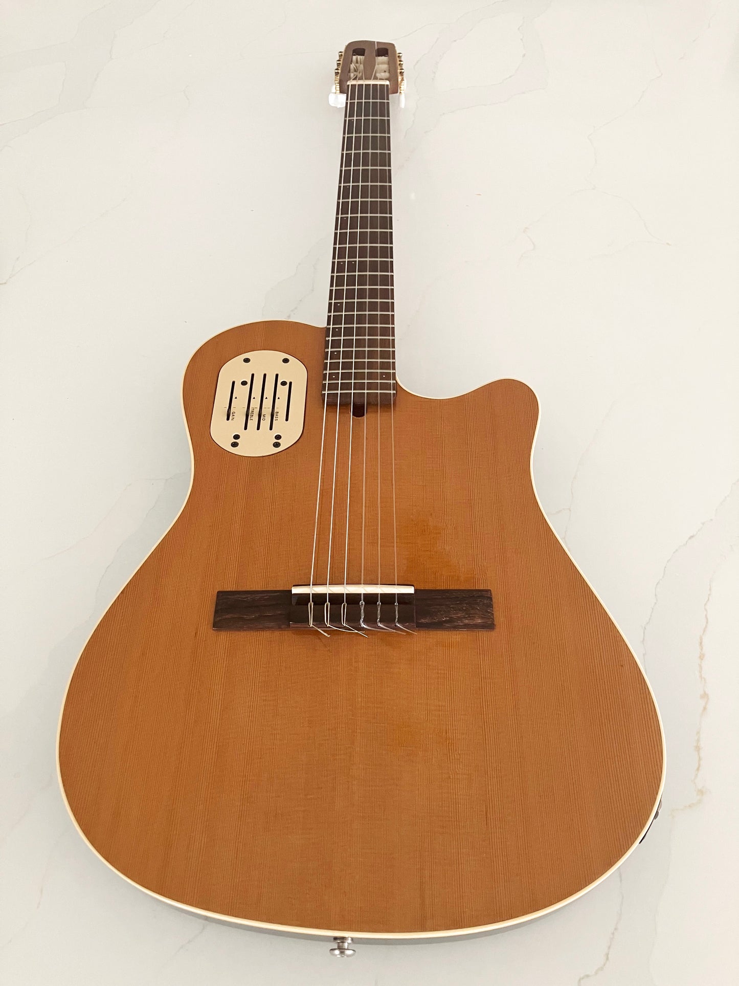 1993 Godin Acousticlassic