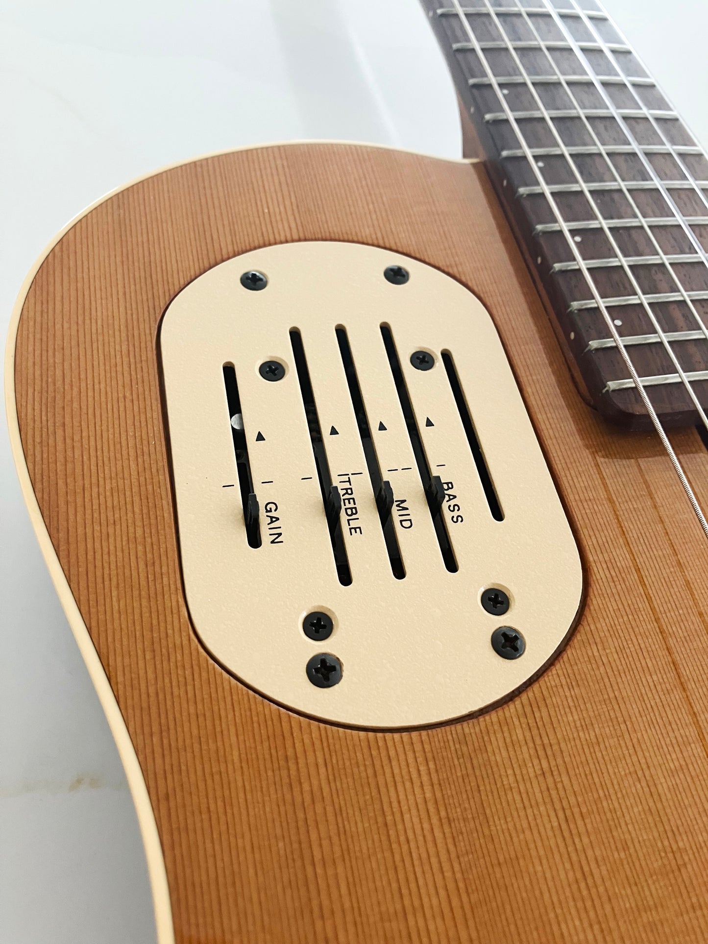 1993 Godin Acousticlassic