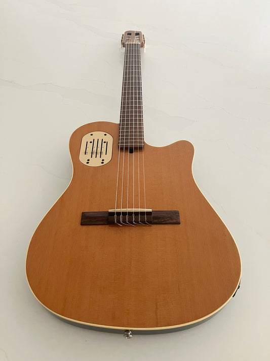1993 Godin Acousticlassic