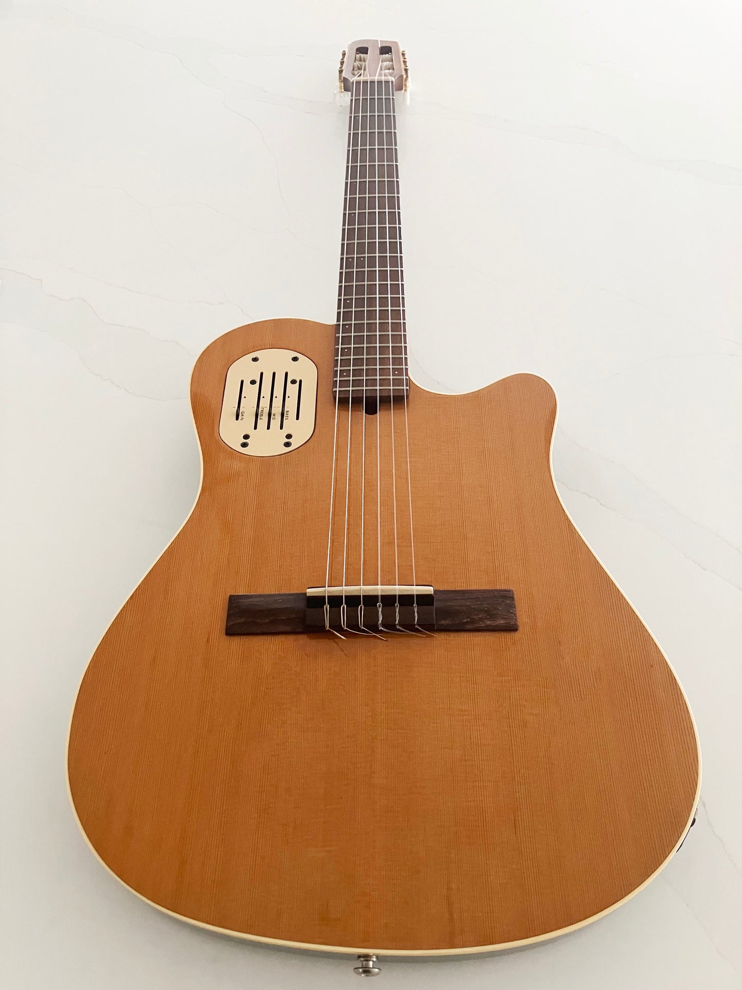 1993 Godin Acousticlassic